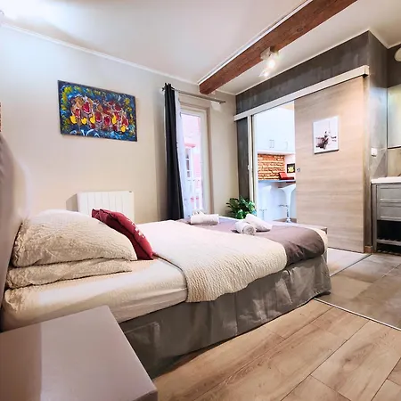 Cocoon'inn Daurade דירה טולוז
