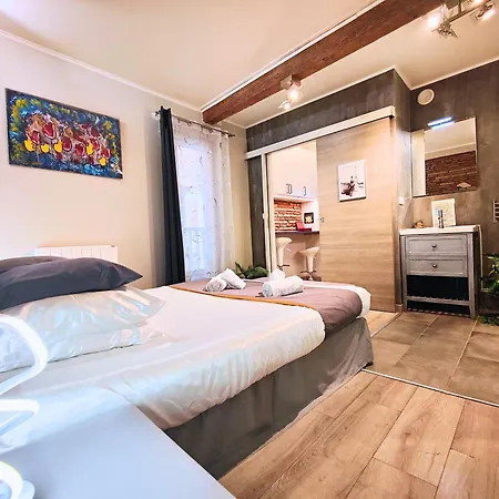 Cocoon'inn Daurade דירה טולוז